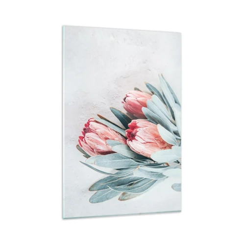 Impression sur verre - Image sur verre - Fleurs de protéa roses subtiles sur fond clair - 80x120cm - Honte de leur propre beauté - Décoration murale moderne pour le salon et la chambre ARTTOR