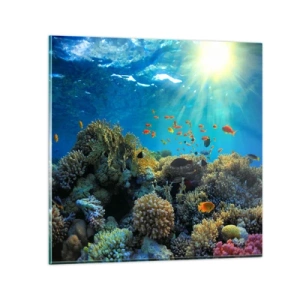 Impression sur verre - Image sur verre - Trésor sous-marin - 30x30 cm