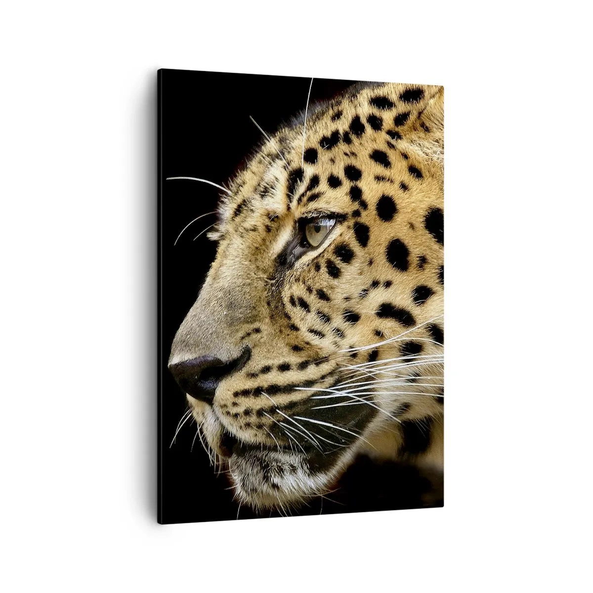 Impression sur toile - Image sur toile - Gros plan d'une tête de léopard sur fond noir - 50x70cm - Calme, concentré, prêt - Décoration murale moderne pour le salon et la chambre ARTTOR