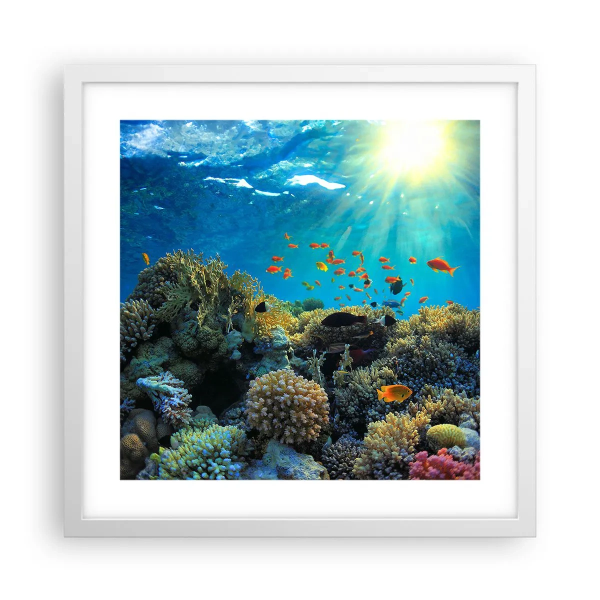 Affiche dans un cadre blanc - Poster - Trésor sous-marin - 40x40 cm