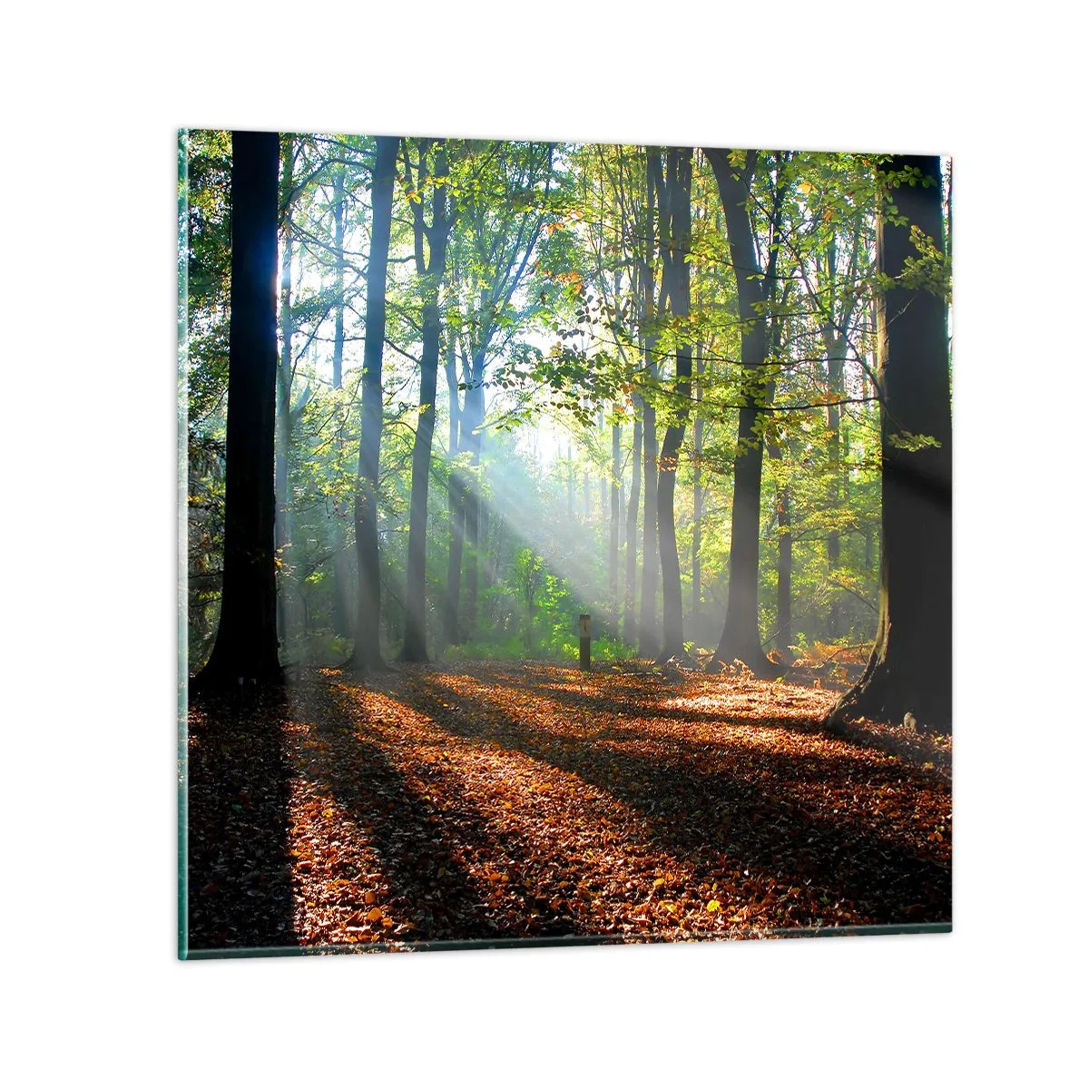 Impression sur verre - Image sur verre - Ombres et lumières - 30x30 cm