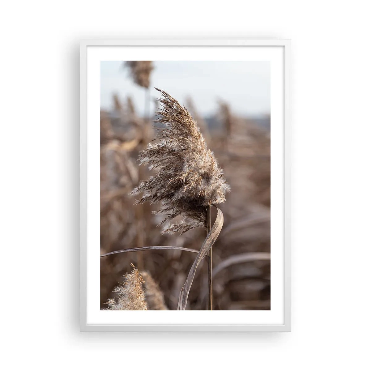 Affiche dans un cadre blanc - Poster - Il est temps de s'envoler avec le vent - 50x70 cm