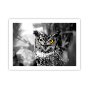 Affiche - Poster - Rien ne se cachera - 70x50 cm