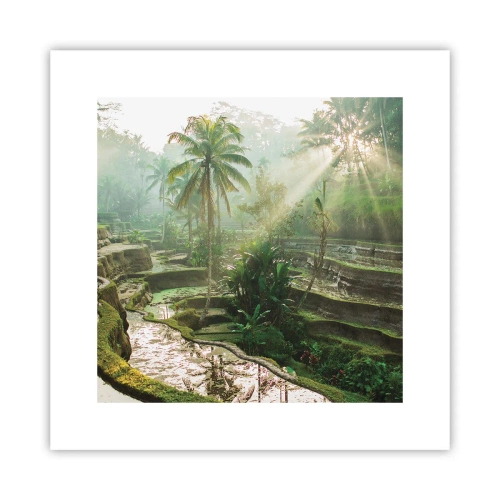 Affiche - Poster - Grandir au soleil - 30x30 cm