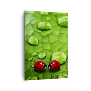 Impression sur toile - Image sur toile - Deux coccinelles sur une feuille avec des gouttes d'eau en macrophotographie - 70x100cm - Rendez-vous au vert - Décoration murale moderne pour le salon et la chambre ARTTOR