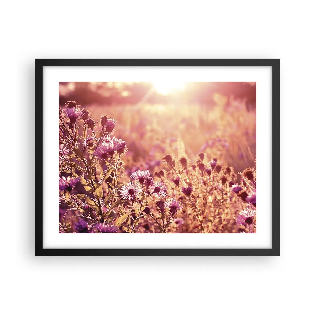 Affiche dans un cadre noir - Poster - Avant que l'été ne parte - 50x40 cm