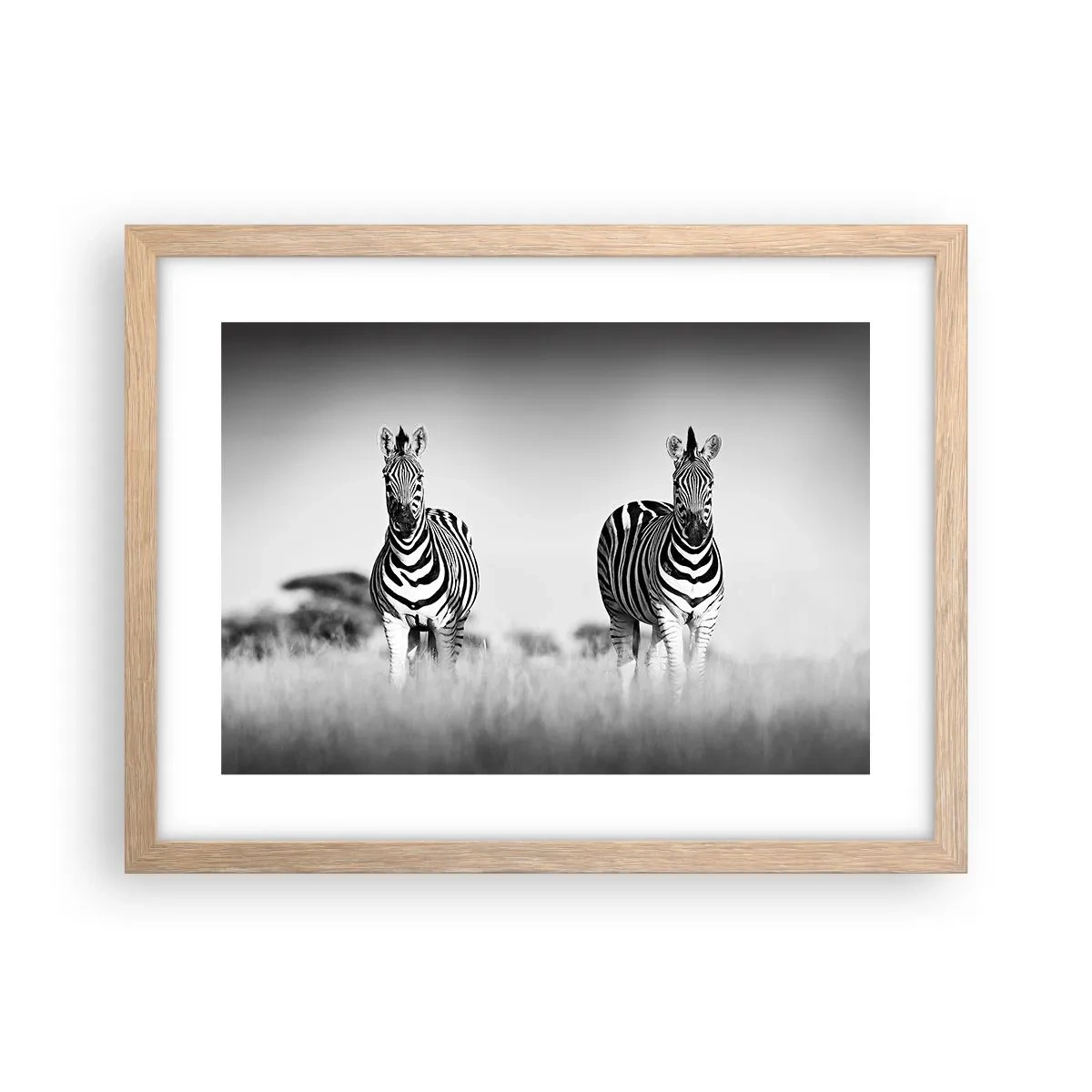 Affiche dans un chêne clair - Poster - Le monde est bel et bien noir et blanc - 40x30 cm