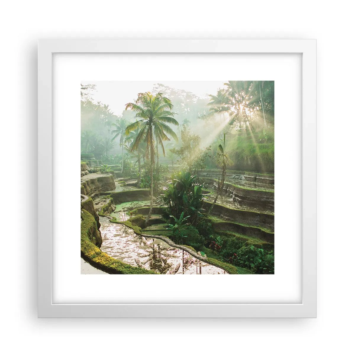 Affiche dans un cadre blanc - Poster - Grandir au soleil - 30x30 cm