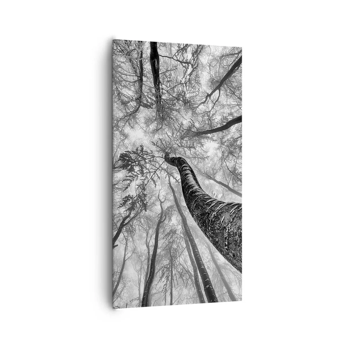 Impression sur toile - Image sur toile - Course vers la lumière - 65x120 cm