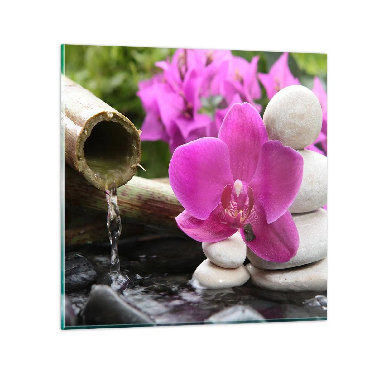 Impression sur verre - Image sur verre - Tu te reposes déjà - 40x40 cm