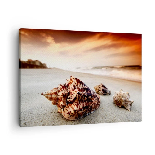 Impression sur toile - Image sur toile - Coquillages sur la plage au coucher du soleil - 70x50cm - Les parias des vagues - Décoration murale moderne pour le salon et la chambre ARTTOR