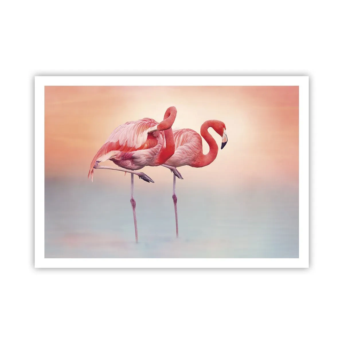 Affiche - Poster - Flamants roses aux couleurs pastel délicates sur fond d'eau - 100x70cm - Dans les couleurs du soleil couchant - Décoration murale moderne pour le salon et la chambre ARTTOR