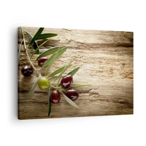 Impression sur toile - Image sur toile - Branche d'olivier avec des fruits sur un fond de bois vieilli - 70x50cm - Directement de la nature - Décoration murale moderne pour le salon et la chambre ARTTOR