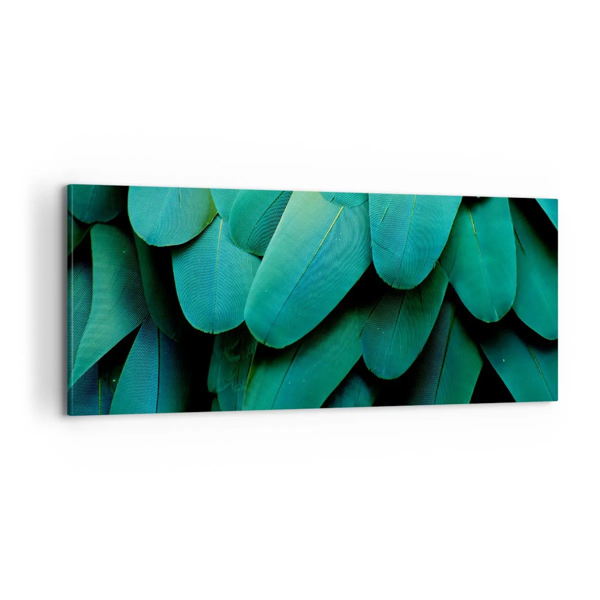 Impression sur toile - Image sur toile - Perfection de la nature du perroquet - 100x40 cm