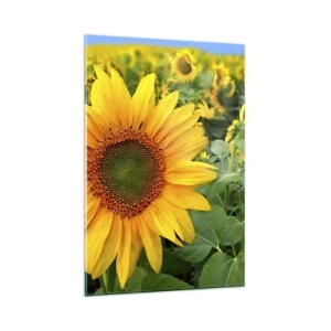 Impression sur verre - Image sur verre - Un champ de tournesols aux fleurs jaunes sur fond de feuilles vertes - 80x120cm - Des centaines de soleils se sont embrasés - Décoration murale moderne pour le salon et la chambre ARTTOR