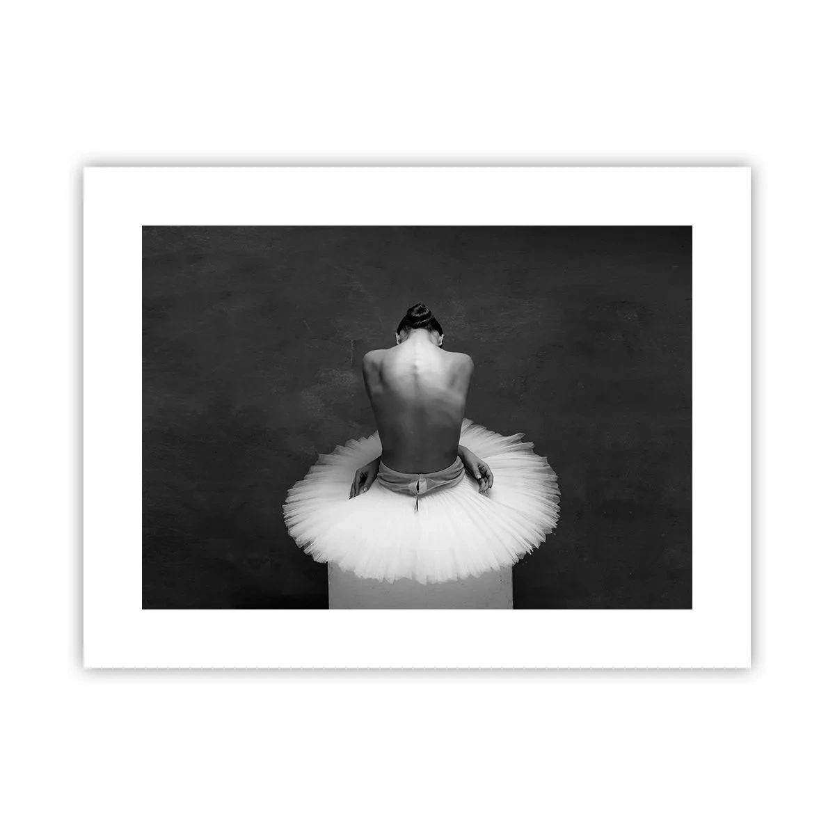 Affiche - Poster - C'est justement en train de fleurir - 40x30 cm