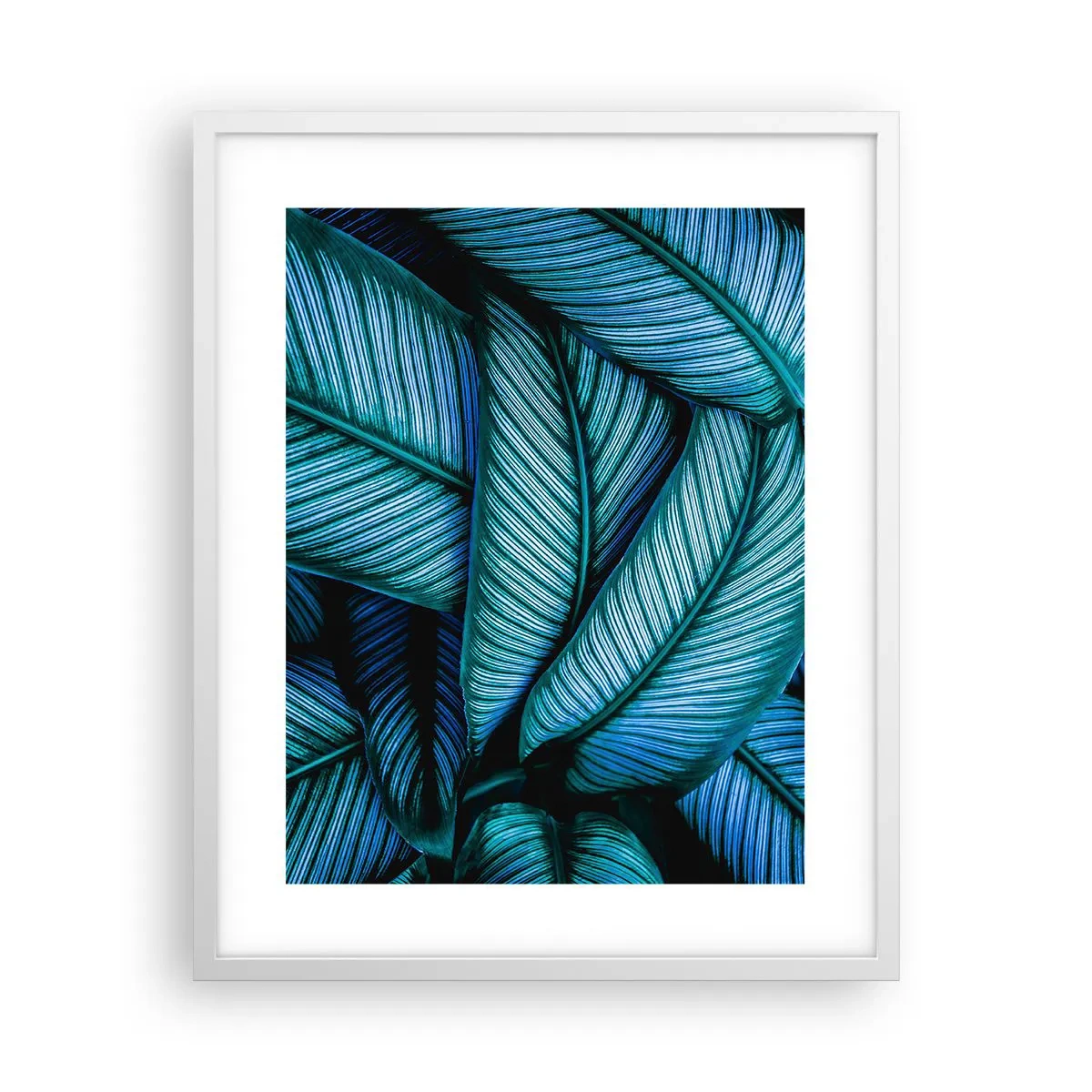 Affiche dans un cadre blanc - Poster - Lignes de vie - 40x50 cm