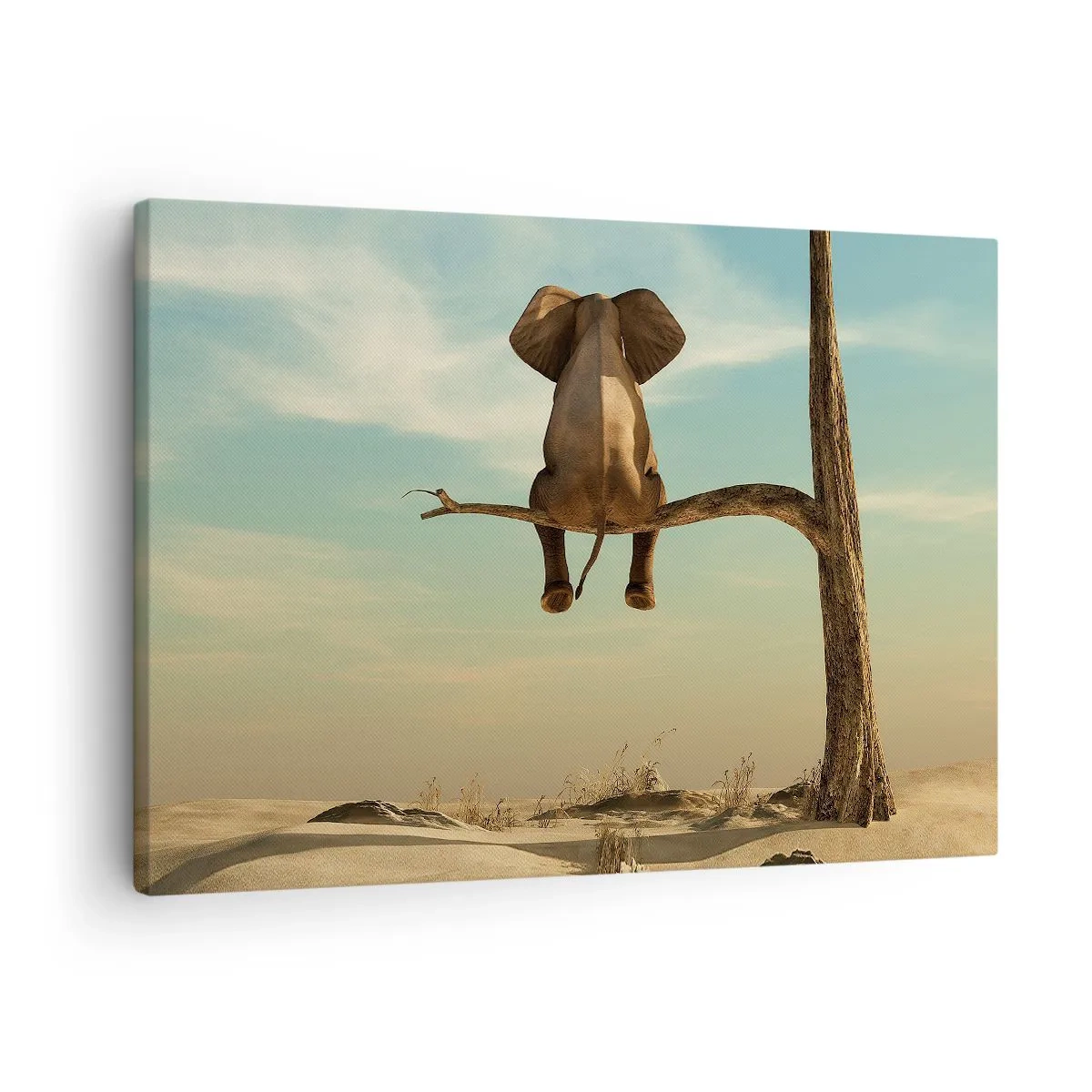 Impression sur toile - Image sur toile - Un éléphant assis sur une branche surplombant un paysage désertique - 70x50cm - Nouveau point de vue - Décoration murale moderne pour le salon et la chambre ARTTOR