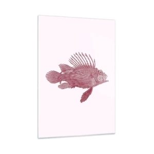 Impression sur verre - Image sur verre - Croquis d'un poisson exotique de couleur bordeaux sur fond clair - 50x70cm - Un habitant des eaux exotiques - Décoration murale moderne pour le salon et la chambre ARTTOR