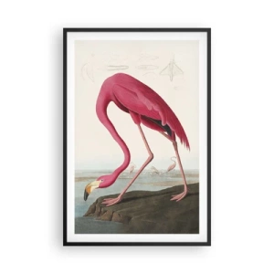 Affiche dans un cadre noir - Poster - Création étonnante - 61x91 cm