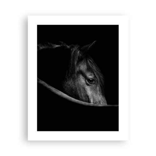 Affiche - Poster - Prince Noir - 40x50 cm