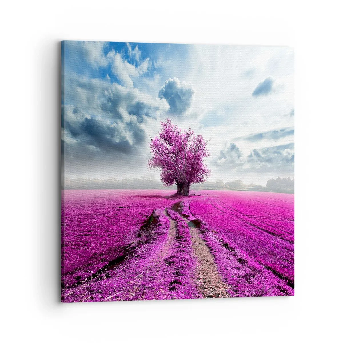 Impression sur toile - Image sur toile - Lande - nature sauvage - 70x70 cm