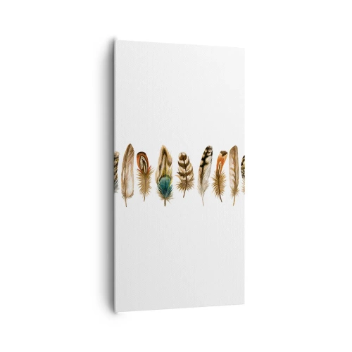 Impression sur toile - Image sur toile - Variation à plumes - 65x120 cm
