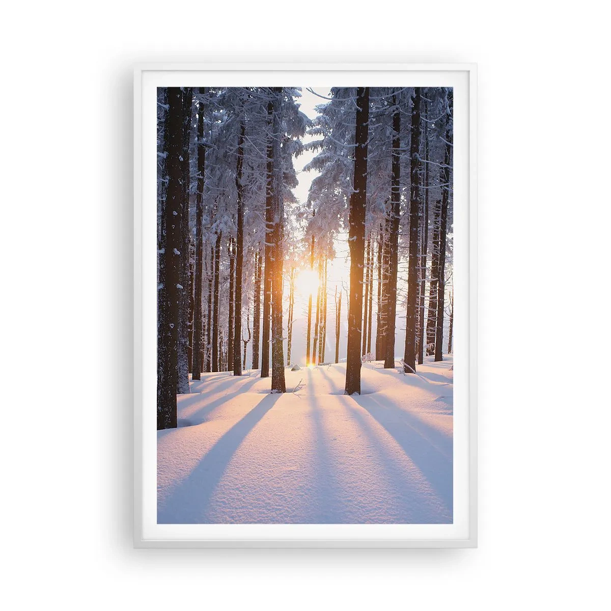 Affiche dans un cadre blanc - Poster - Clairement en noir et blanc - 70x100 cm