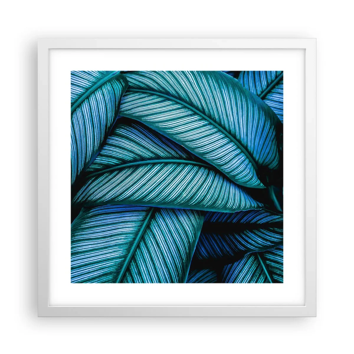 Affiche dans un cadre blanc - Poster - Lignes de vie - 40x40 cm