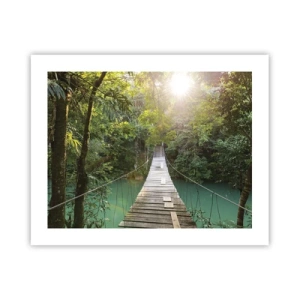 Affiche - Poster - De l'eau azur à la forêt azur - 50x40 cm