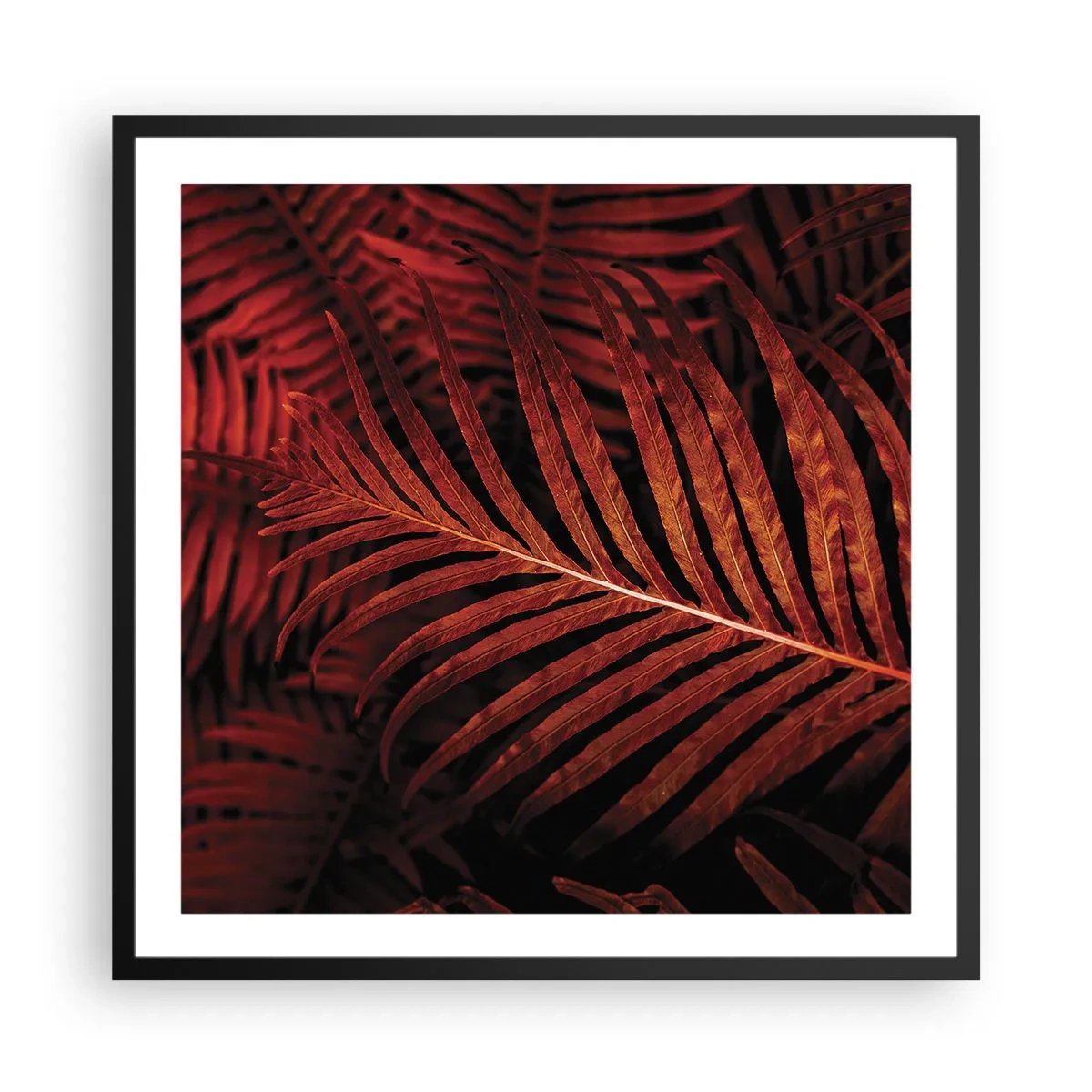 Affiche dans un cadre noir - Poster - Chaleur de la vie - 60x60 cm