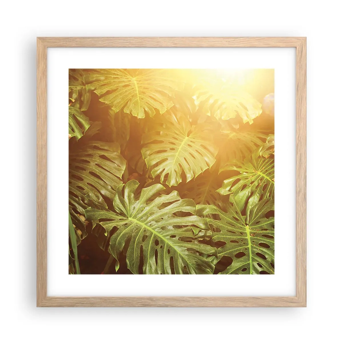 Affiche dans un chêne clair - Poster - Se fondre dans la verdure - 40x40 cm