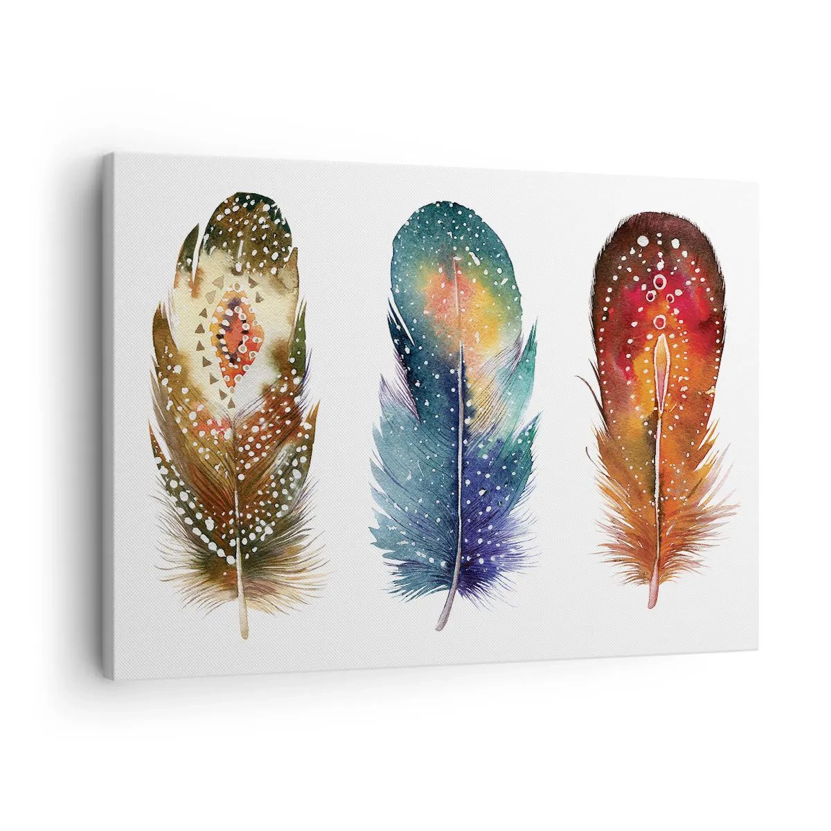 Impression sur toile - Image sur toile - Trois plumes colorées avec des motifs artistiques sur un fond clair - 70x50cm - Rituels, cérémonies, secrets - Décoration murale moderne pour le salon et la chambre ARTTOR