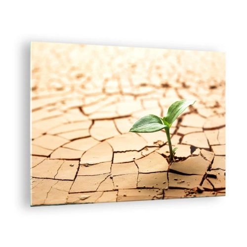 Impression sur verre - Image sur verre - Une jeune plante poussant dans une terre sèche et craquelée - 70x50cm - La force indomptable de la vie - Décoration murale moderne pour le salon et la chambre ARTTOR