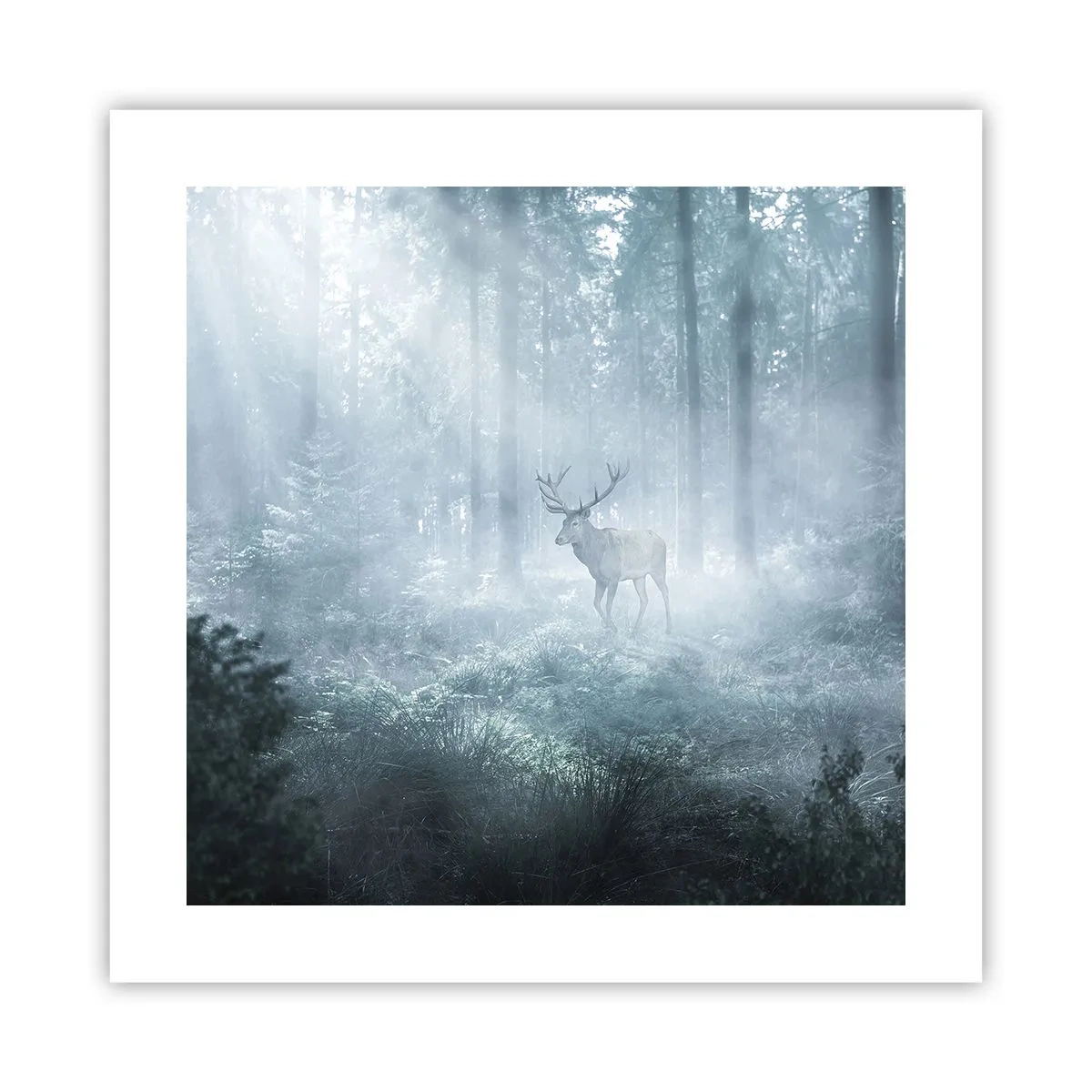 Affiche - Poster - Visite matinale du domaine - 40x40 cm