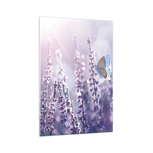 Impression sur verre - Image sur verre - Un papillon sur une lavande en fleurs dans la lumière du matin - 70x100cm - Baiser de papillon - Décoration murale moderne pour le salon et la chambre ARTTOR