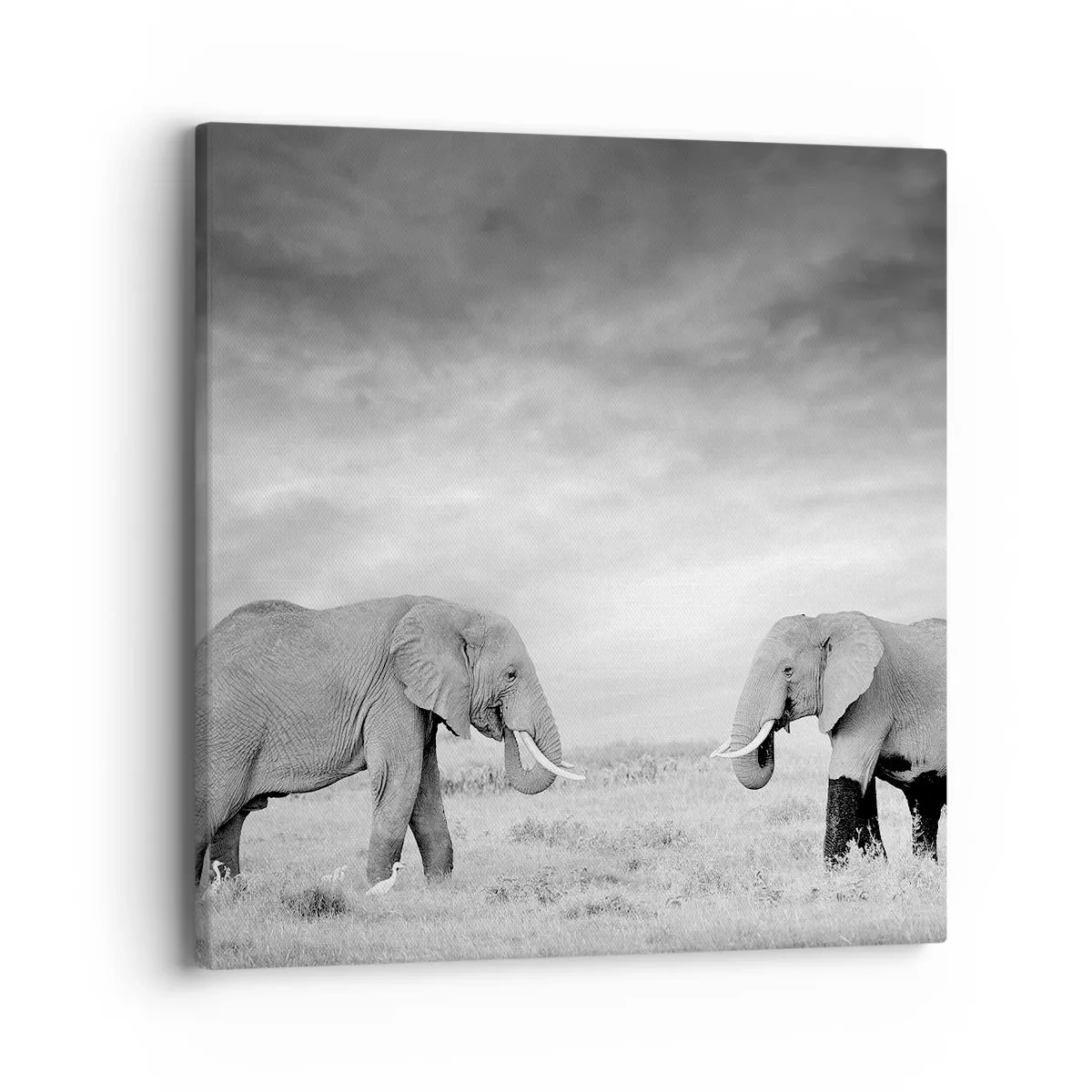 Impression sur toile - Image sur toile - Le gris est beau - 40x40 cm