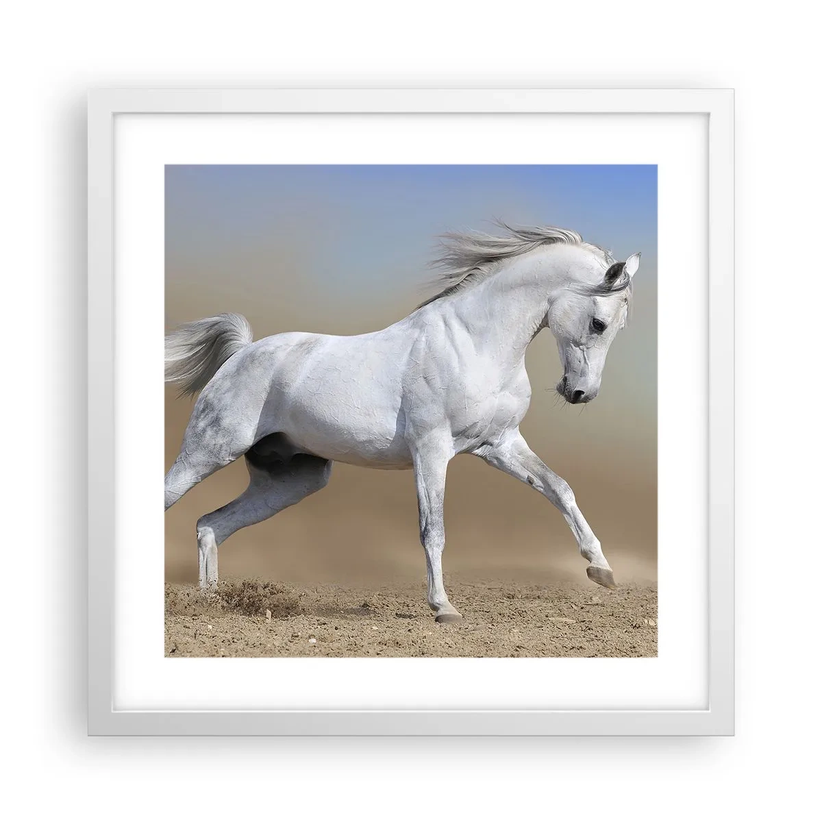 Affiche dans un cadre blanc - Poster - Le plus beau conte de fées arabe - 40x40 cm