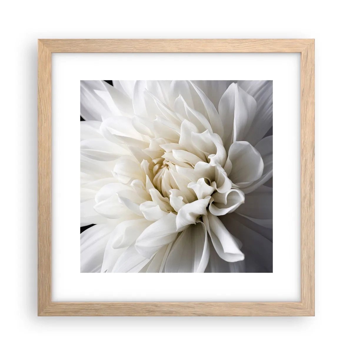 Affiche dans un chêne clair - Poster - Le matin de la jeune mariéé - 30x30 cm