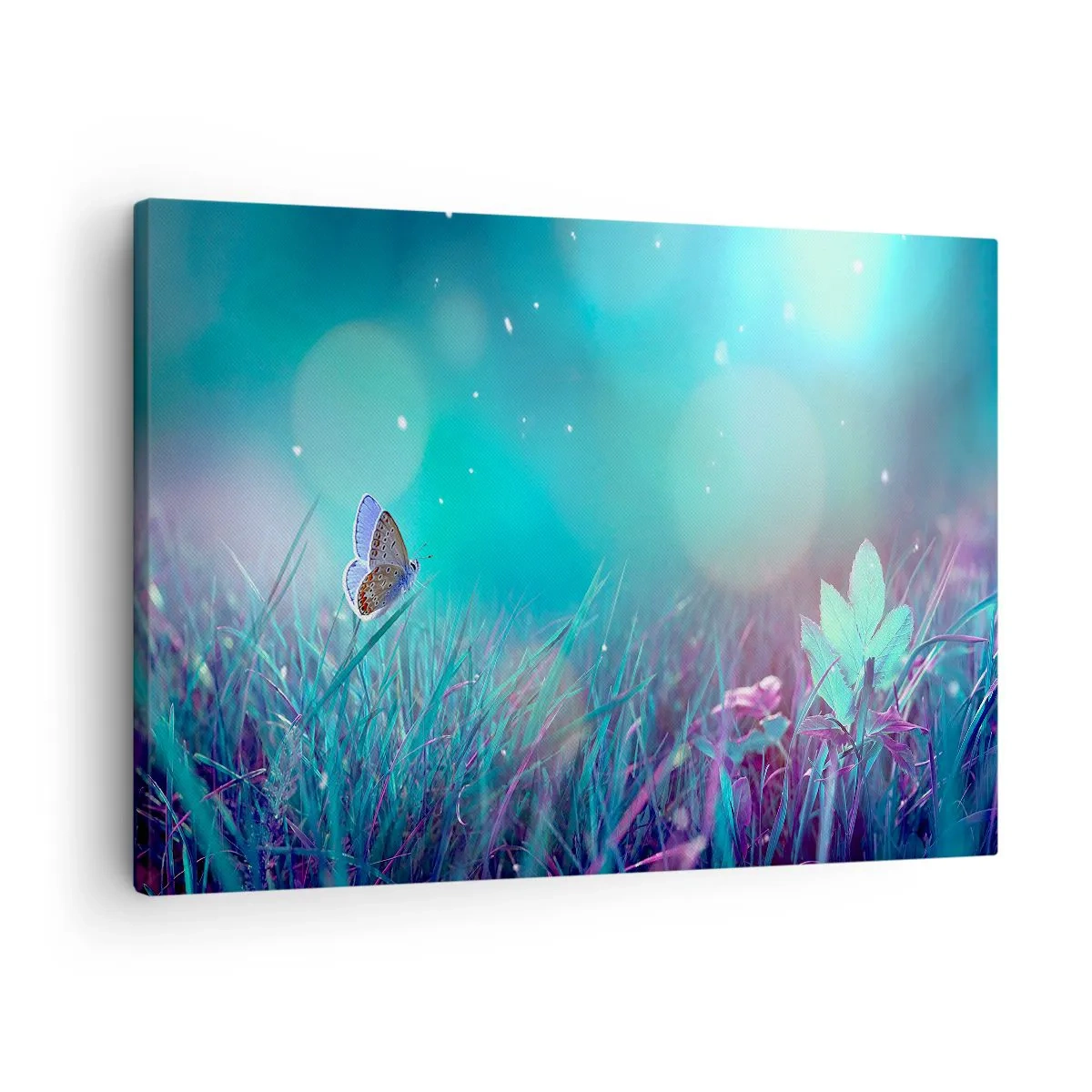 Impression sur toile - Image sur toile - Un papillon sur l'herbe à la lumière de reflets flous - 70x50cm - La vie secrète de la prairie - Décoration murale moderne pour le salon et la chambre ARTTOR