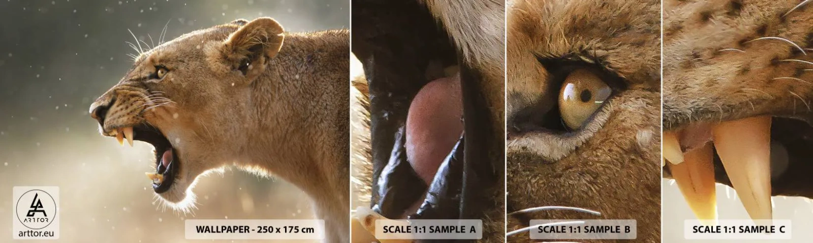 Échantillon de Papier Peint Autocollant Deluxe Sticker - Essayez de ne pas écouter - Animaux, Lion, Afrique - 100x30 cm