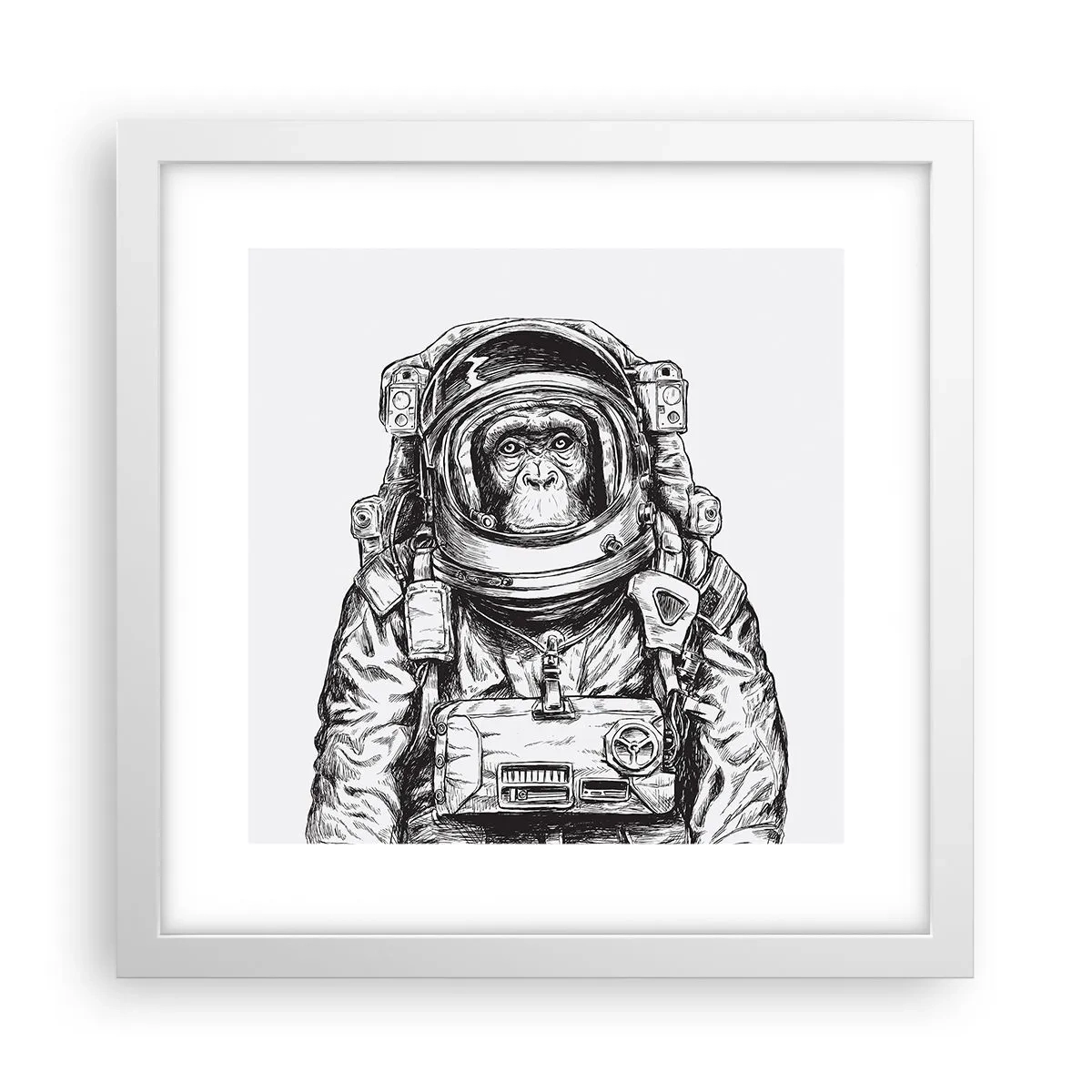 Affiche dans un cadre blanc - Poster - Évolution alternative - 30x30 cm