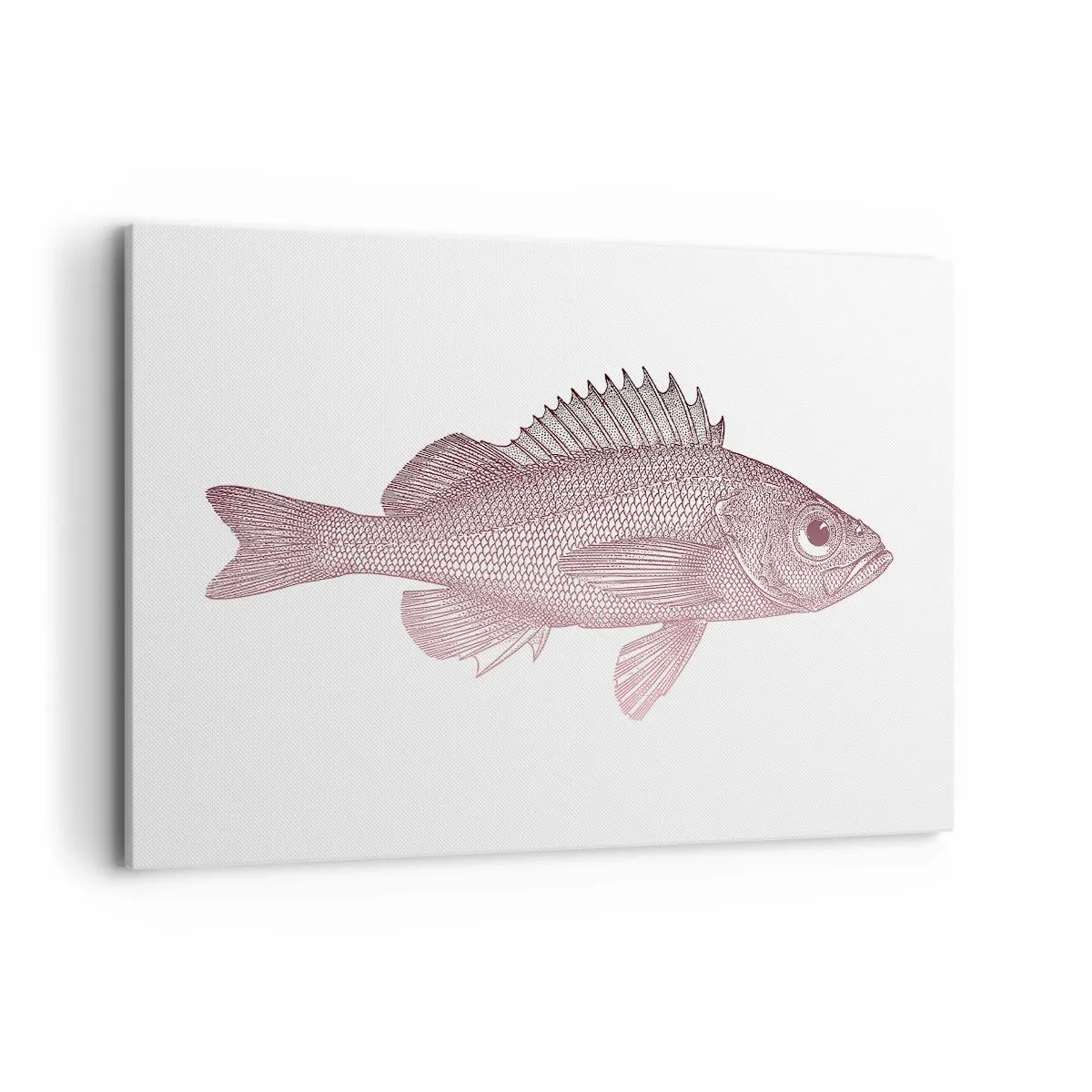 Impression sur toile - Image sur toile - Illustration détaillée d'un poisson sur fond blanc - 120x80cm - Poisson aux grands yeux - Décoration murale moderne pour le salon et la chambre ARTTOR