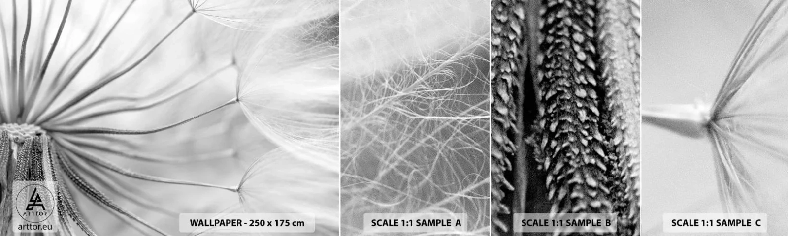 Échantillon de Papier Peint Autocollant Deluxe Sticker - Aigrette avant son envol - Minimalisme, Délicat, Fleur - 100x30 cm