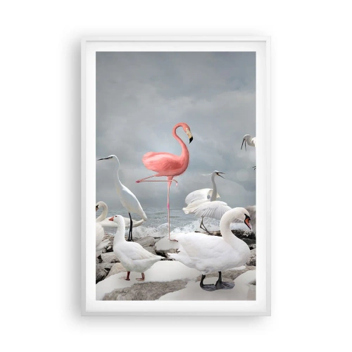 Affiche dans un cadre blanc - Poster - Comment suis-je arrivé là? - 61x91 cm