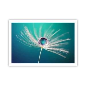 Affiche - Poster - Moment mystique - 91x61 cm