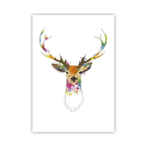 Affiche - Poster - Un cerf doux baigné de couleur - 70x100 cm