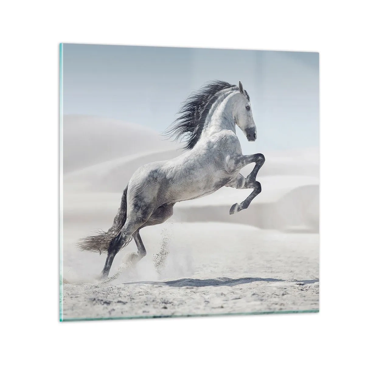 Impression sur verre - Image sur verre - Prince arabe - 60x60 cm