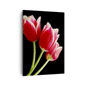 Impression sur toile - Image sur toile - Tulipes rouges avec des gouttes de rosée sur fond noir - 50x70cm - Une promesse d'amour pur - Décoration murale moderne pour le salon et la chambre ARTTOR