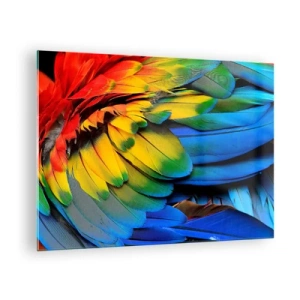 Impression sur verre - Image sur verre - Plumes de perroquet colorées aux couleurs intenses de l'arc-en-ciel - 70x50cm - Oiseau de paradis - Décoration murale moderne pour le salon et la chambre ARTTOR